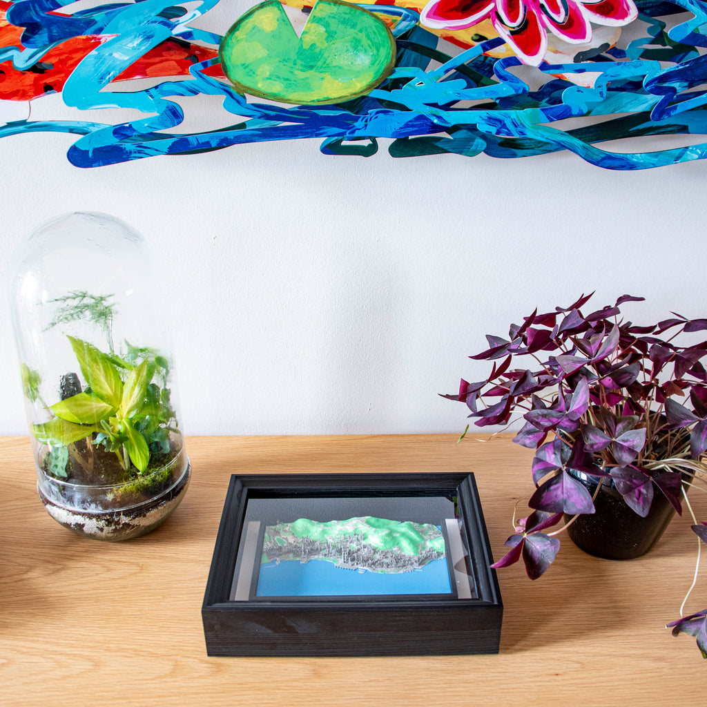 Carte 3D de Hong Kong