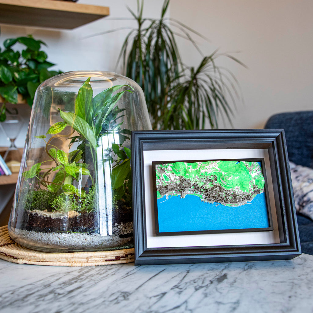 Carte 3D de Hong Kong