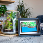 Carte 3D de Hong Kong