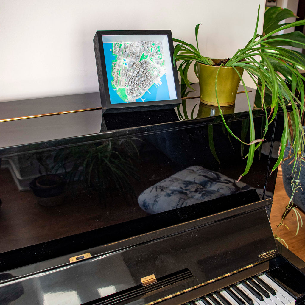 Carte 3D de New York - Lower Manhattan