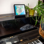 Carte 3D de New York - Lower Manhattan