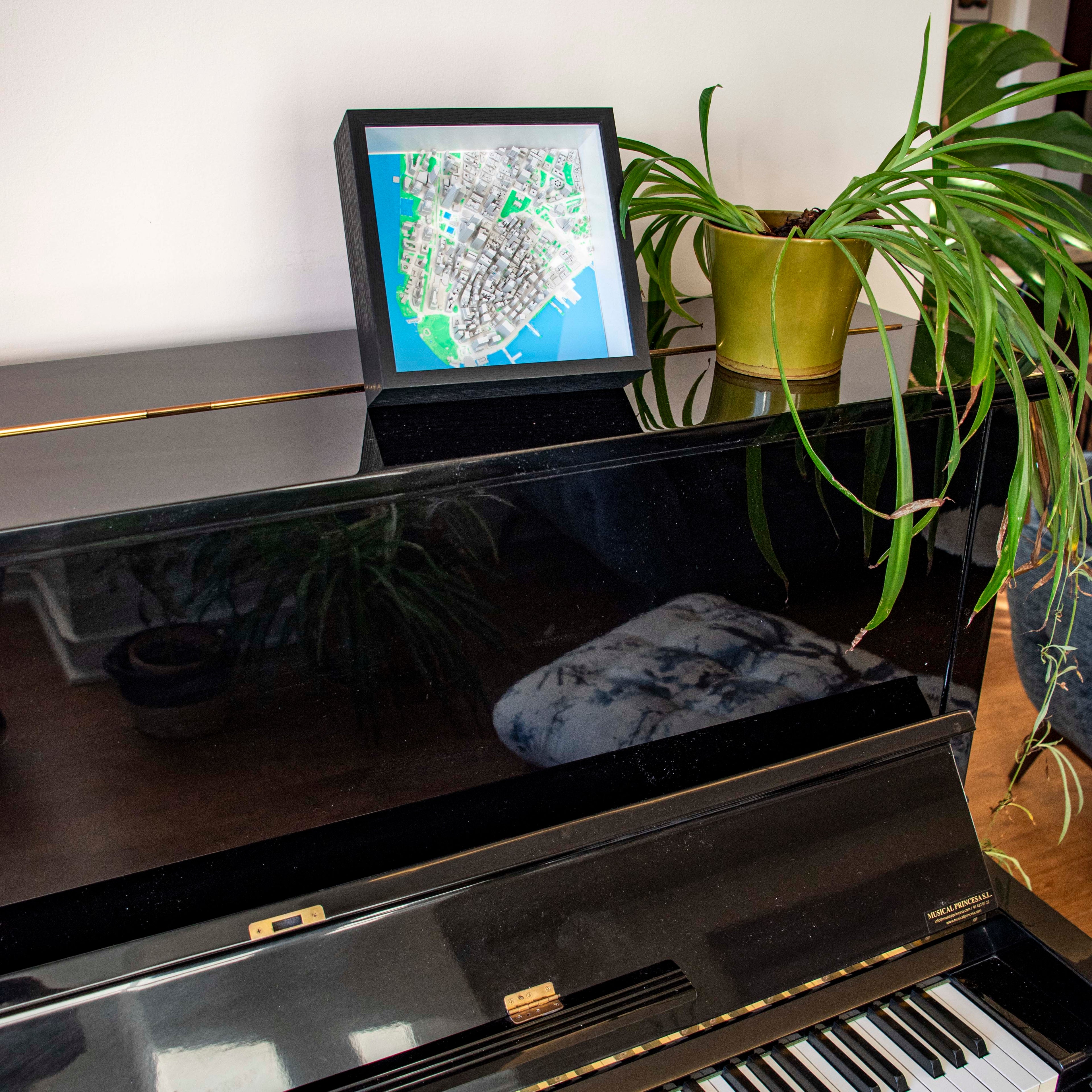 Carte 3D de New York - Lower Manhattan