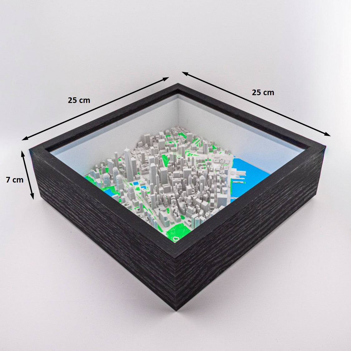 Carte 3D de New York - Lower Manhattan