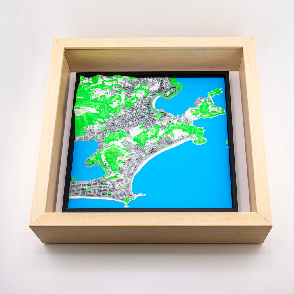 Rio de Janeiro 3D Map