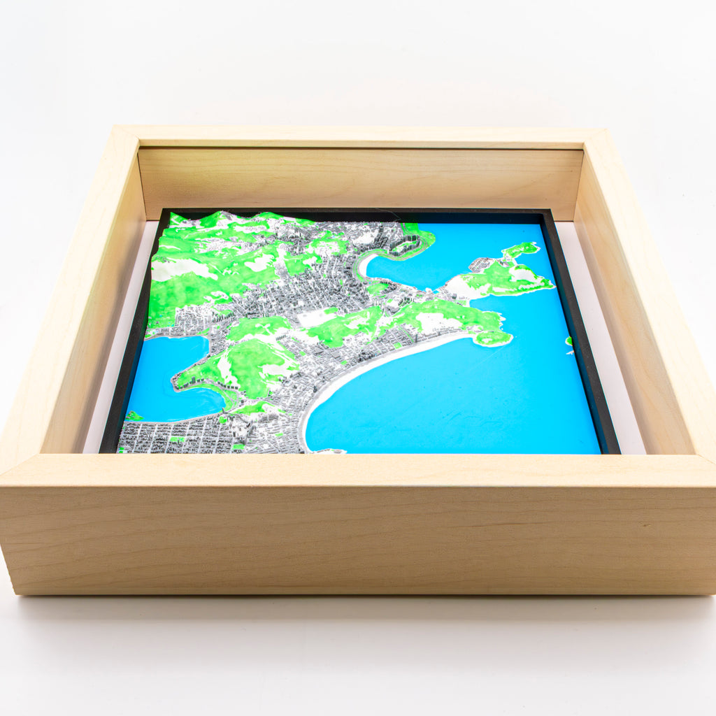 Rio de Janeiro 3D Map