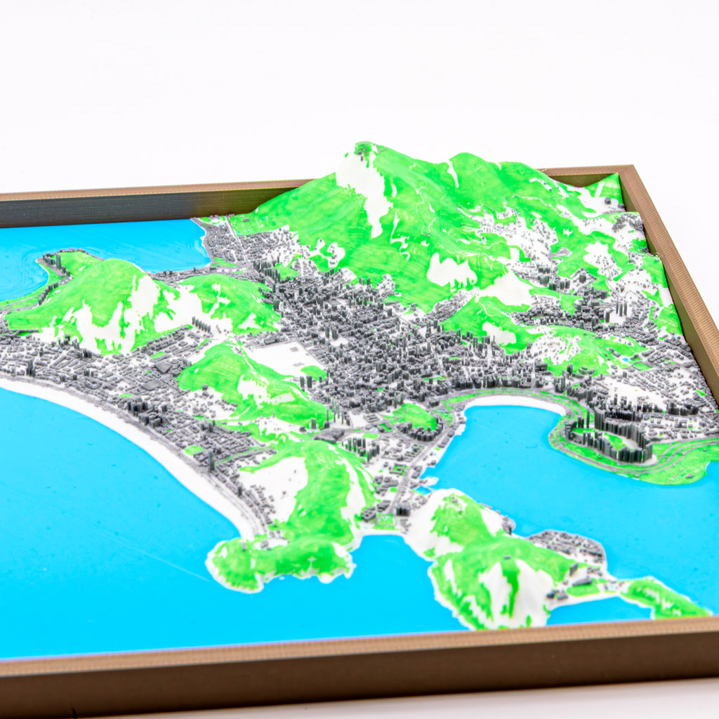 Rio de Janeiro 3D Map