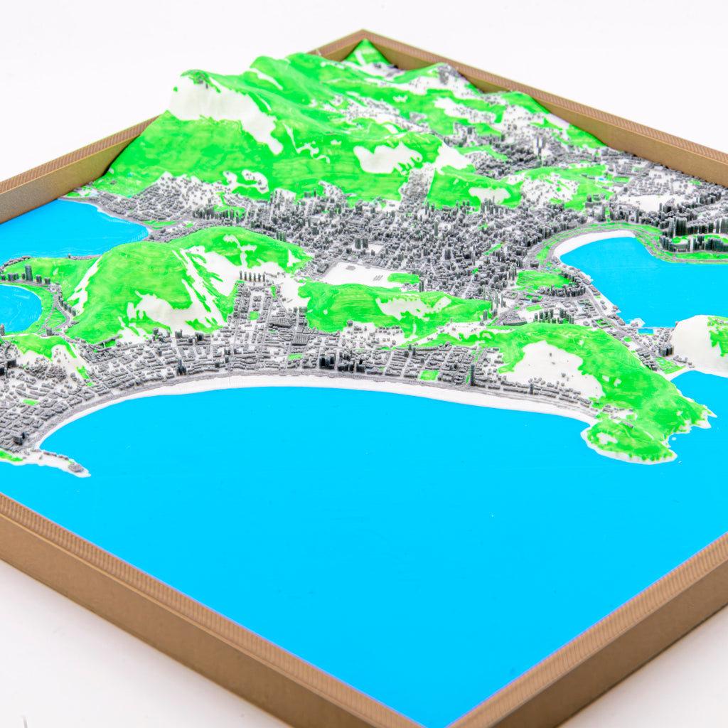 Rio de Janeiro 3D Map