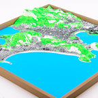 Rio de Janeiro 3D Map