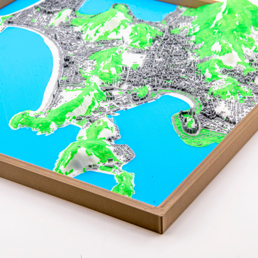 Rio de Janeiro 3D Map