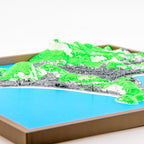 Rio de Janeiro 3D Map