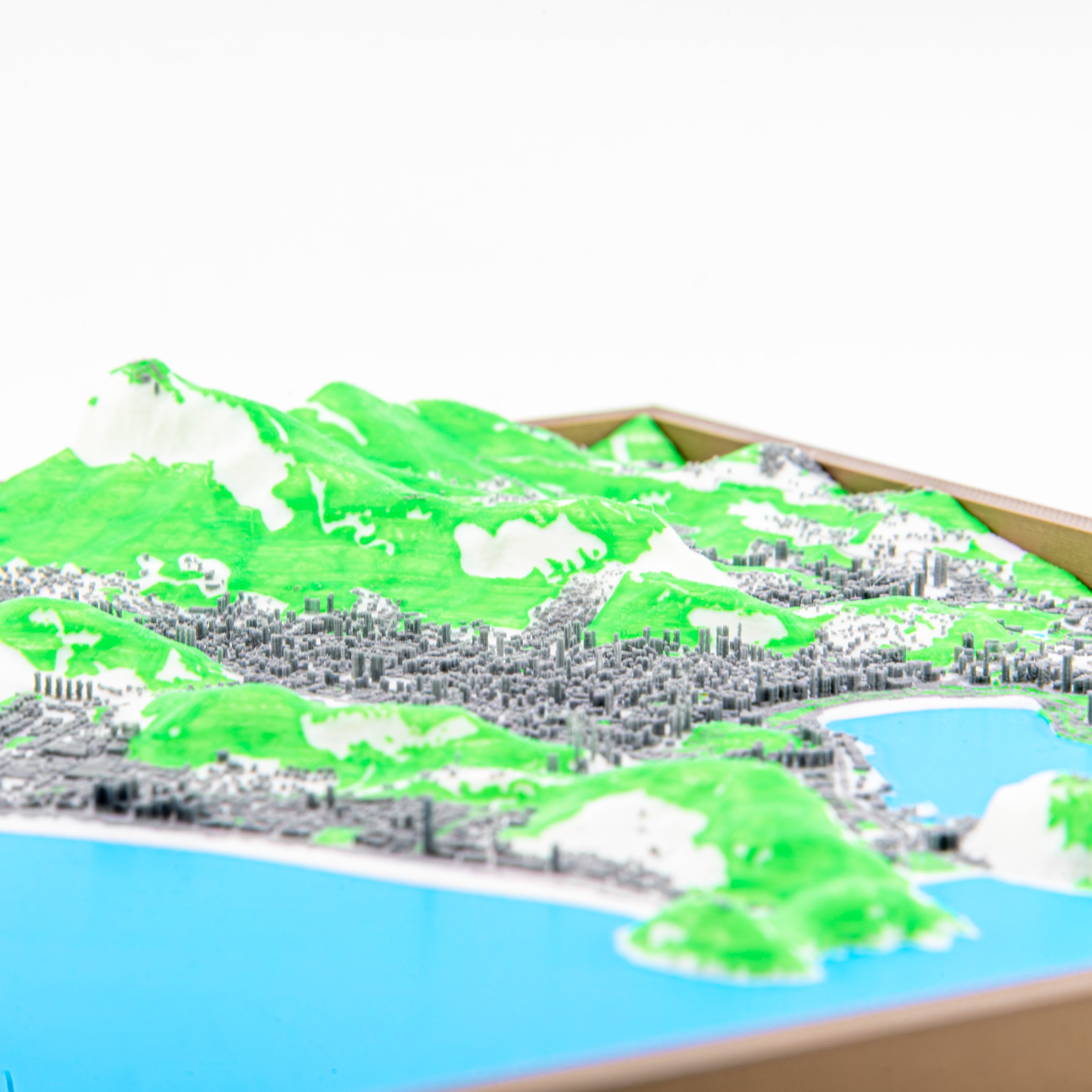 Rio de Janeiro 3D Map