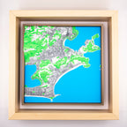 Rio de Janeiro 3D Map