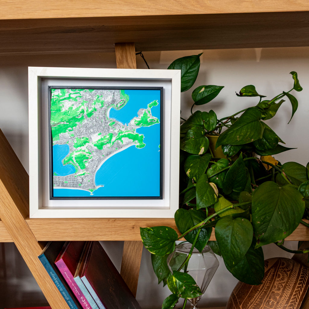 Rio de Janeiro 3D Map