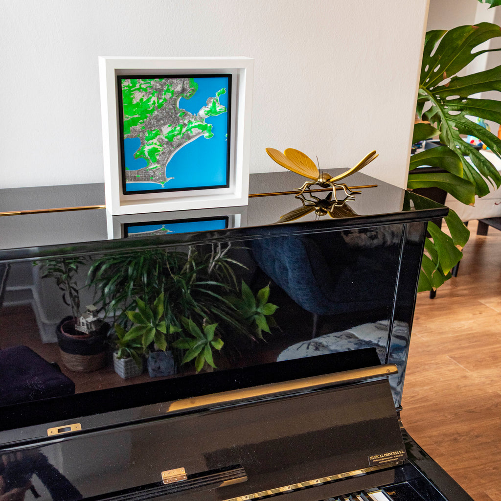 Rio de Janeiro 3D Map