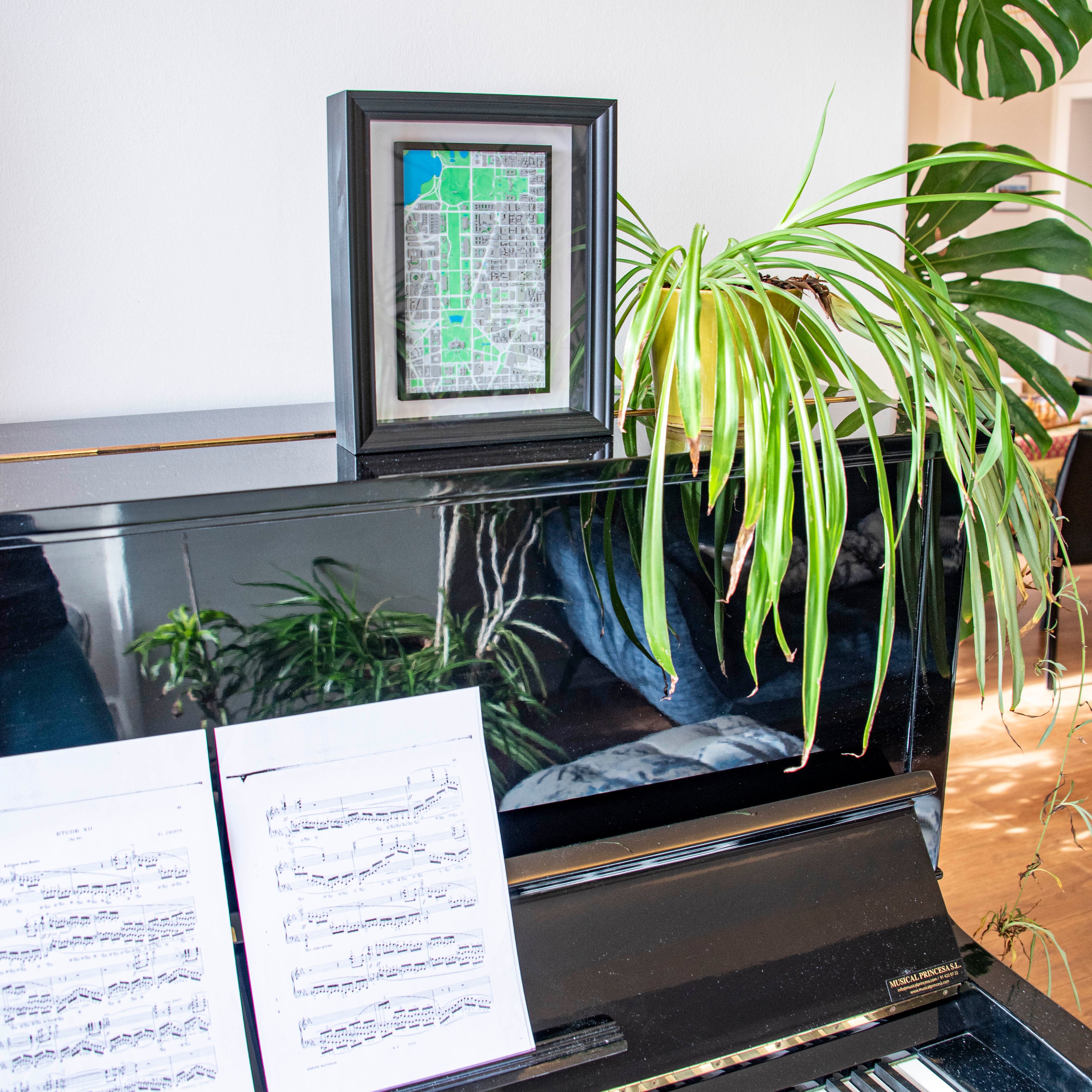 Carte 3D de Washington