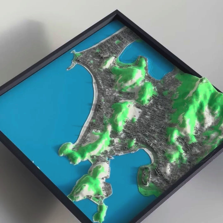 Rio de Janeiro 3D Map